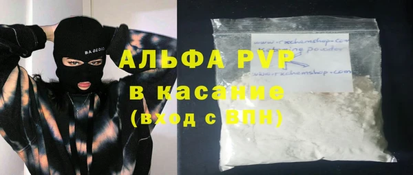 СК Алексин