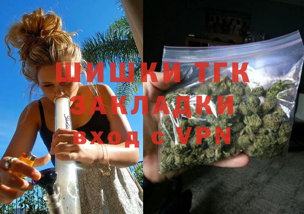 СК Алексин