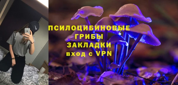 стаф Алексеевка